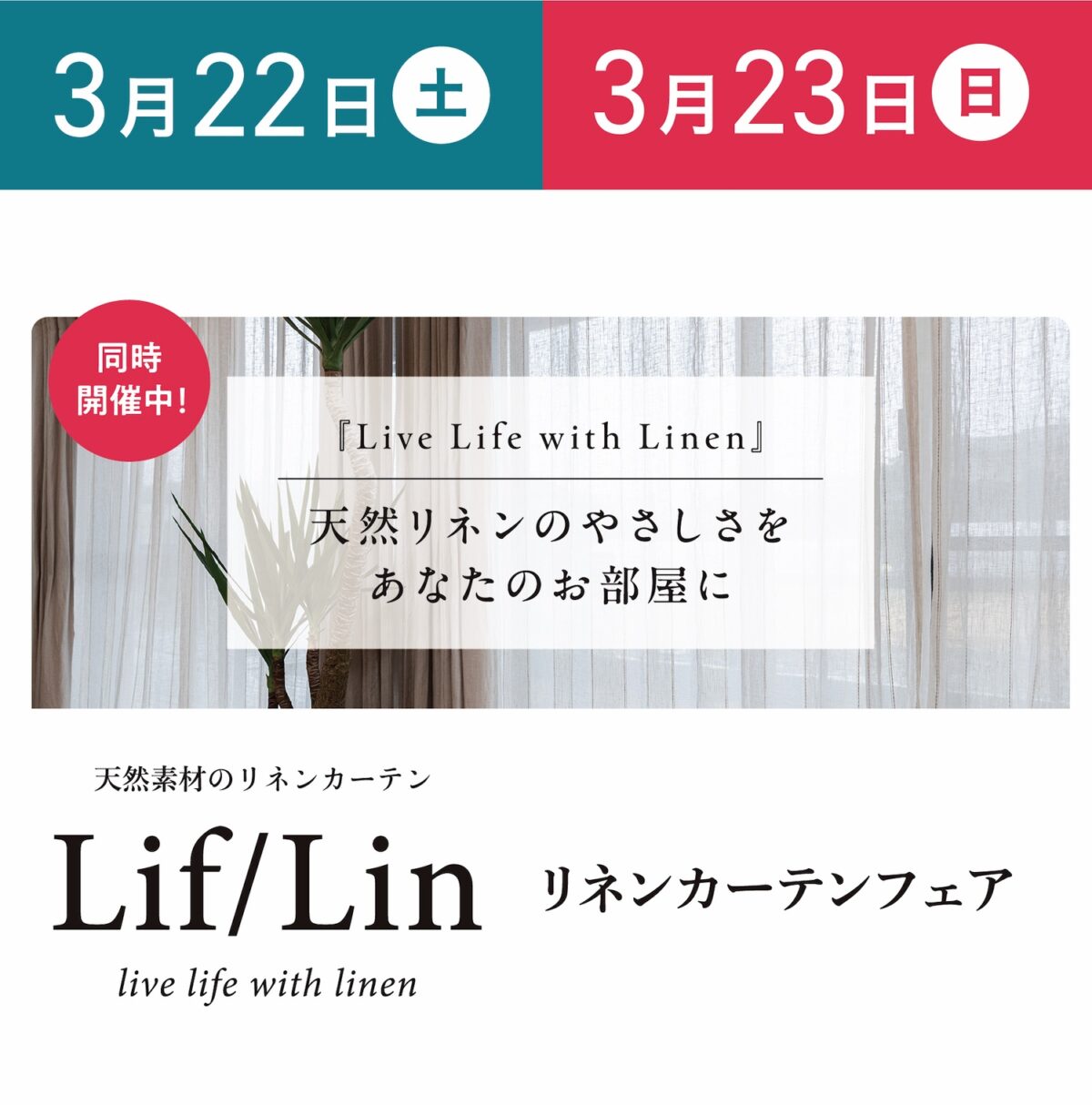 3/22(土)/23(日)春のリフォームフェア【ガラポンチャンス！】断熱・耐震リフォーム ｜ニュース/現場リポート｜イシカワリフォーム